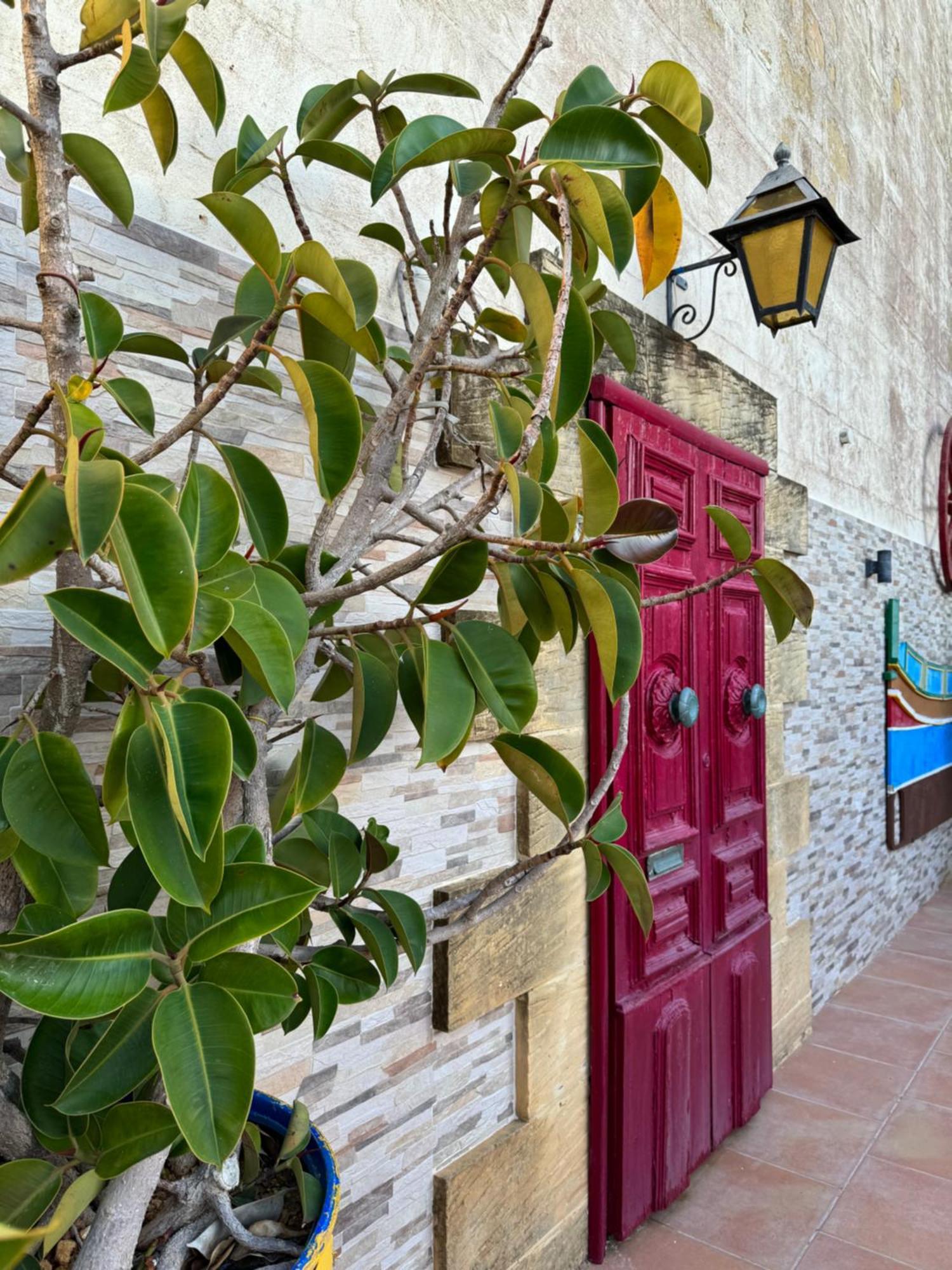 فندق Tal-Bir Farmhouse نادور المظهر الخارجي الصورة